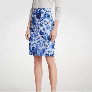 Ann Taylor white, blue, black floral skirt